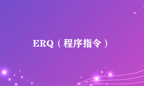 ERQ（程序指令）