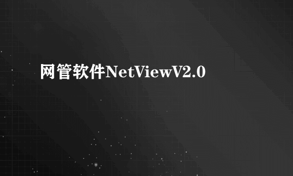 网管软件NetViewV2.0