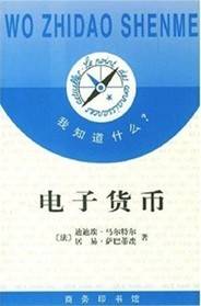 电子货币（1998年商务印书馆出版的图书）