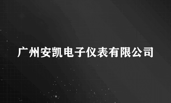 广州安凯电子仪表有限公司