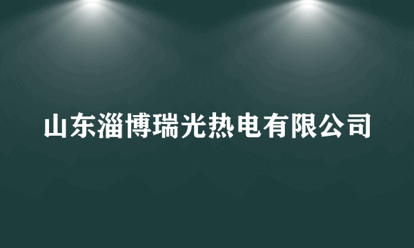 山东淄博瑞光热电有限公司