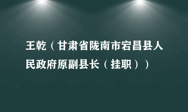 王乾（甘肃省陇南市宕昌县人民政府原副县长（挂职））