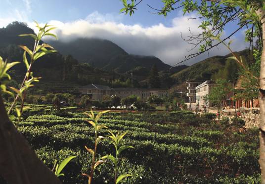 西岩山茶乡度假村