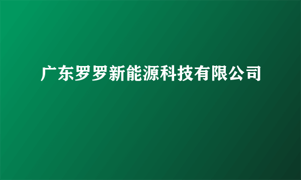 广东罗罗新能源科技有限公司