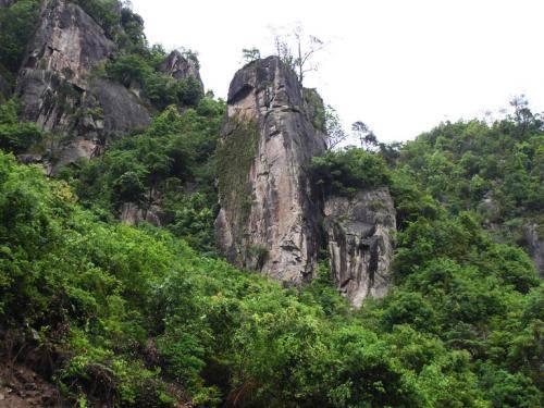 福建天星山国家森林公园