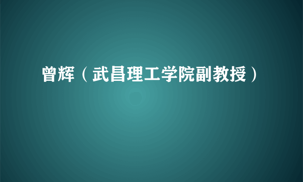 曾辉（武昌理工学院副教授）