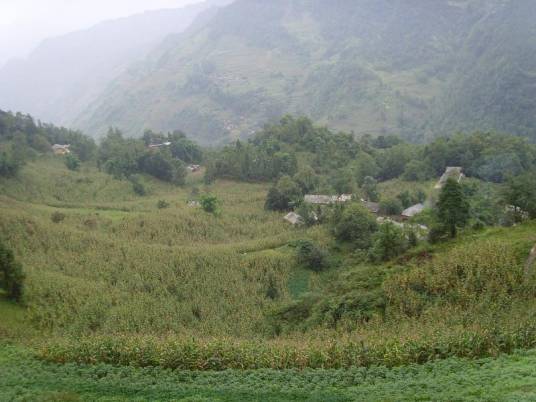 青杠树自然村