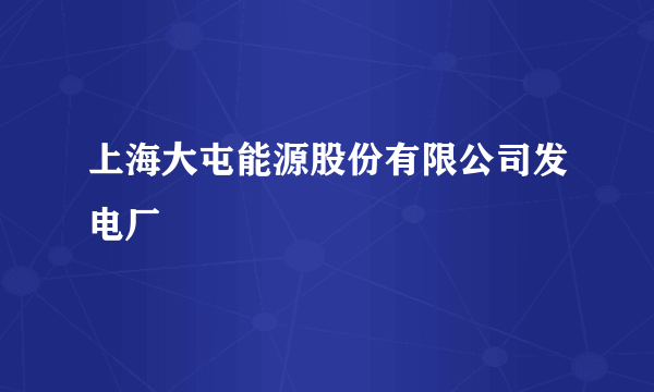 上海大屯能源股份有限公司发电厂