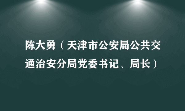 陈大勇（天津市公安局公共交通治安分局党委书记、局长）