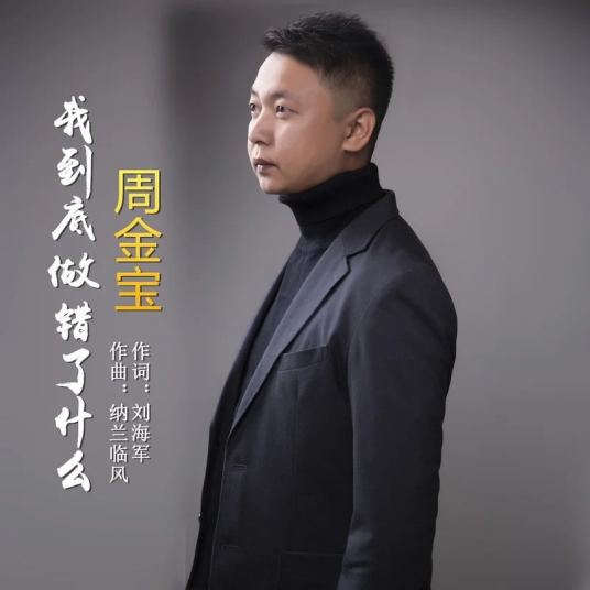 我到底做错了什么（2020年周金宝演唱的歌曲）