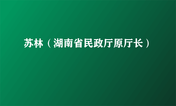 苏林（湖南省民政厅原厅长）