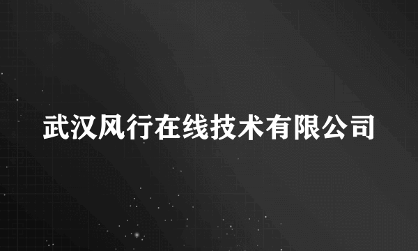 武汉风行在线技术有限公司