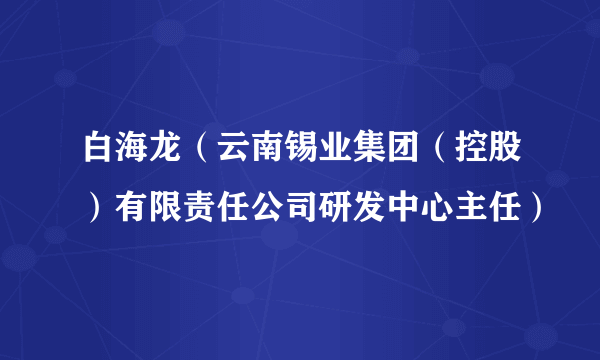 白海龙（云南锡业集团（控股）有限责任公司研发中心主任）