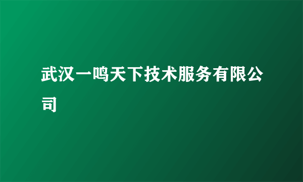 武汉一鸣天下技术服务有限公司