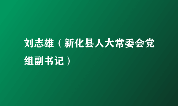 刘志雄（新化县人大常委会党组副书记）