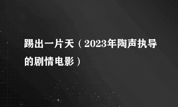 踢出一片天（2023年陶声执导的剧情电影）