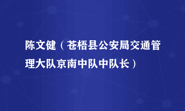 陈文健（苍梧县公安局交通管理大队京南中队中队长）