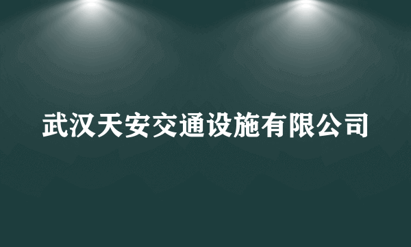 武汉天安交通设施有限公司