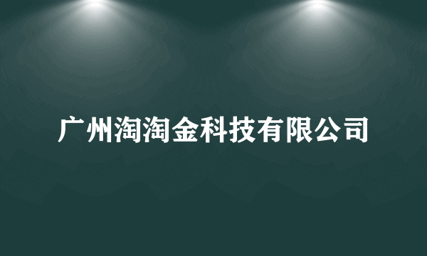 广州淘淘金科技有限公司