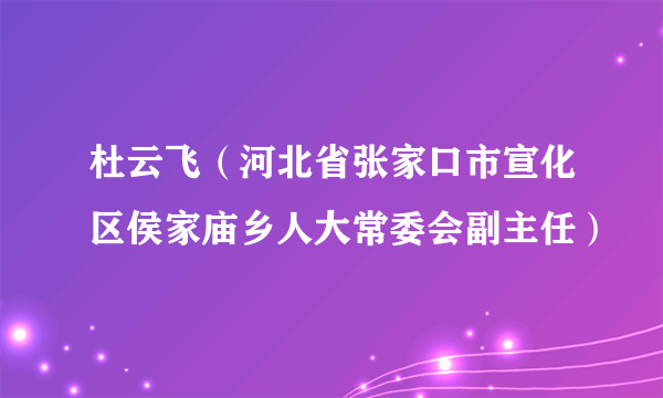 杜云飞（河北省张家口市宣化区侯家庙乡人大常委会副主任）