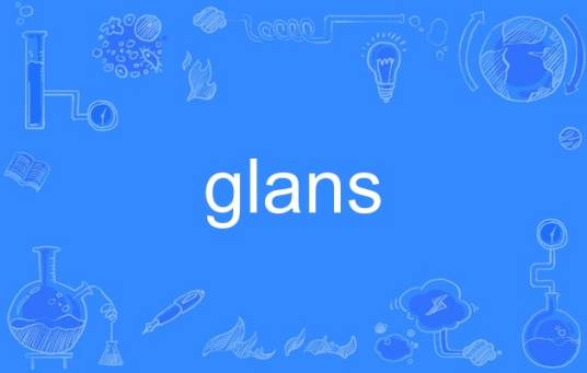 glans