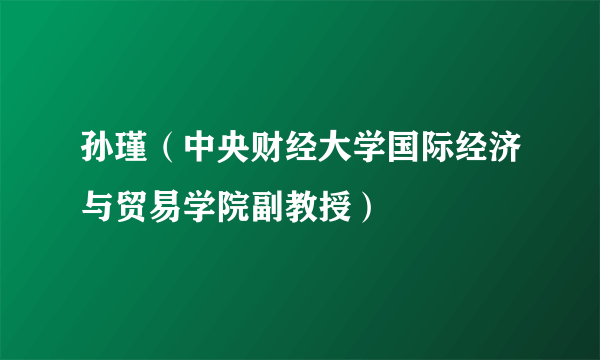 孙瑾（中央财经大学国际经济与贸易学院副教授）