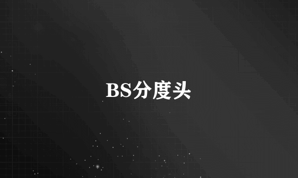 BS分度头