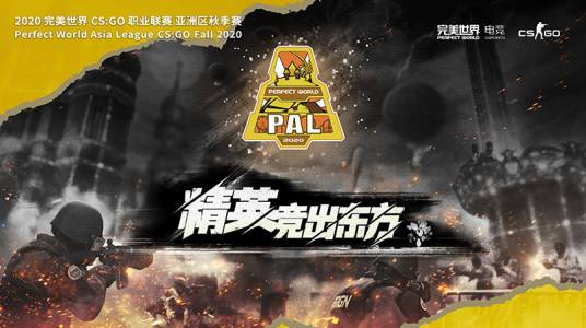 PAL（完美世界代理的反恐精英：全球攻势职业联赛）