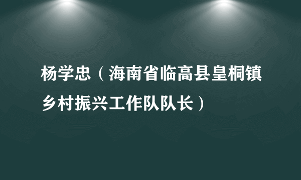 杨学忠（海南省临高县皇桐镇乡村振兴工作队队长）