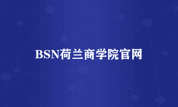 BSN荷兰商学院官网