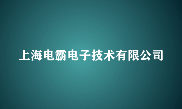 上海电霸电子技术有限公司