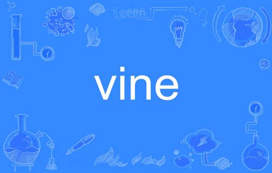 vine（英语单词）