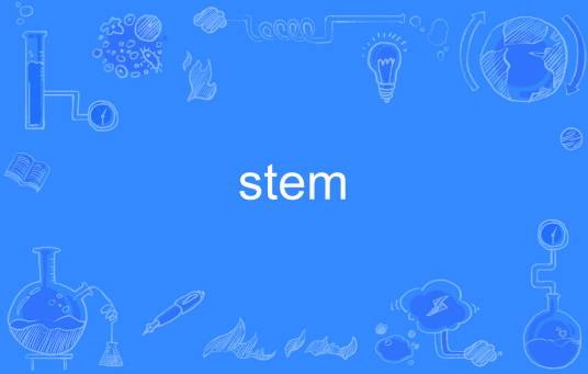 stem（英语单词）