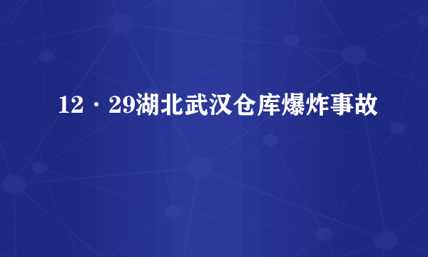 12·29湖北武汉仓库爆炸事故