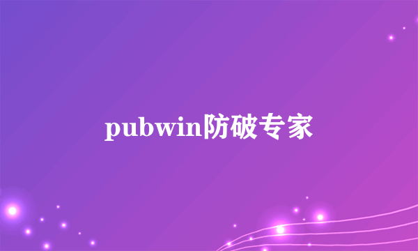 pubwin防破专家