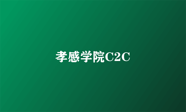 孝感学院C2C