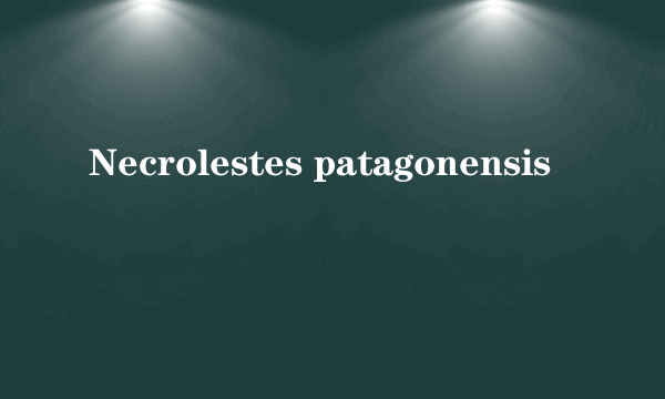 Necrolestes patagonensis