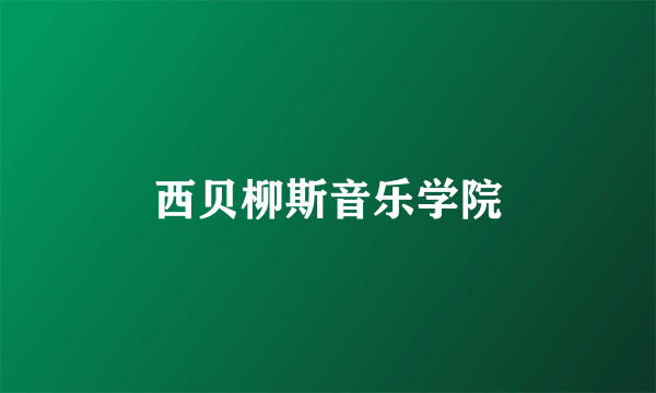 西贝柳斯音乐学院