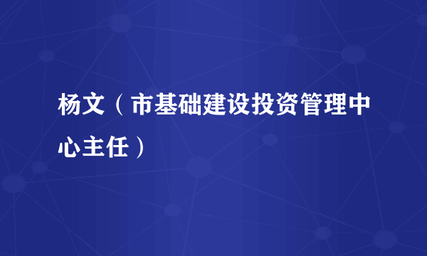 杨文（市基础建设投资管理中心主任）