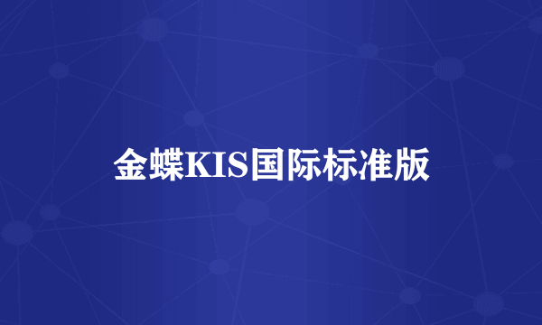 金蝶KIS国际标准版