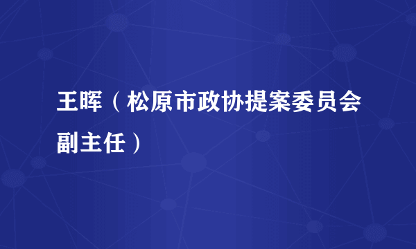 王晖（松原市政协提案委员会副主任）