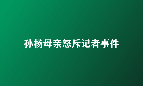 孙杨母亲怒斥记者事件