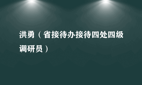 洪勇（省接待办接待四处四级调研员）