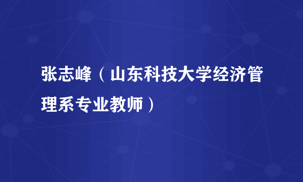 张志峰（山东科技大学经济管理系专业教师）