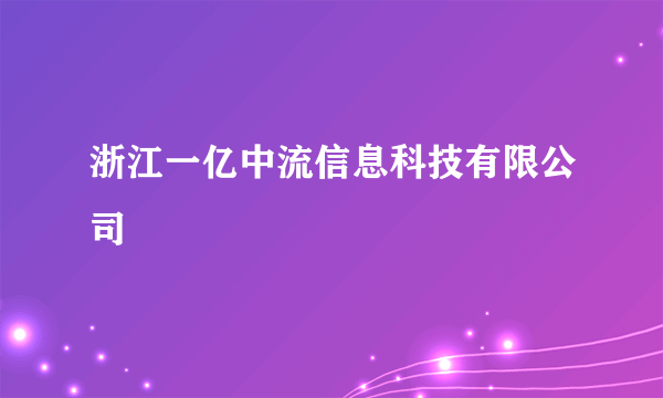 浙江一亿中流信息科技有限公司