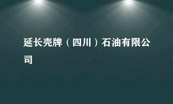 延长壳牌（四川）石油有限公司