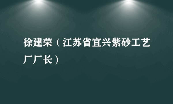 徐建荣（江苏省宜兴紫砂工艺厂厂长）