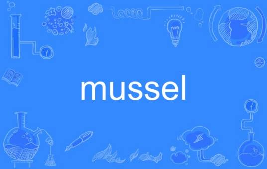 mussel