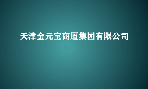 天津金元宝商厦集团有限公司