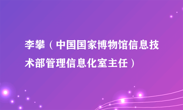 李攀（中国国家博物馆信息技术部管理信息化室主任）